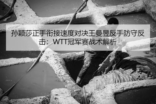 孙颖莎正手衔接速度对决王曼昱反手防守反击：WTT冠军赛战术解析