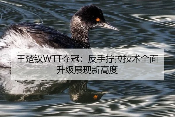 王楚钦WTT夺冠：反手拧拉技术全面升级展现新高度