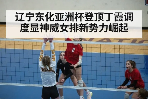 volleyball spike action